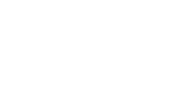 Aries Vane Gear